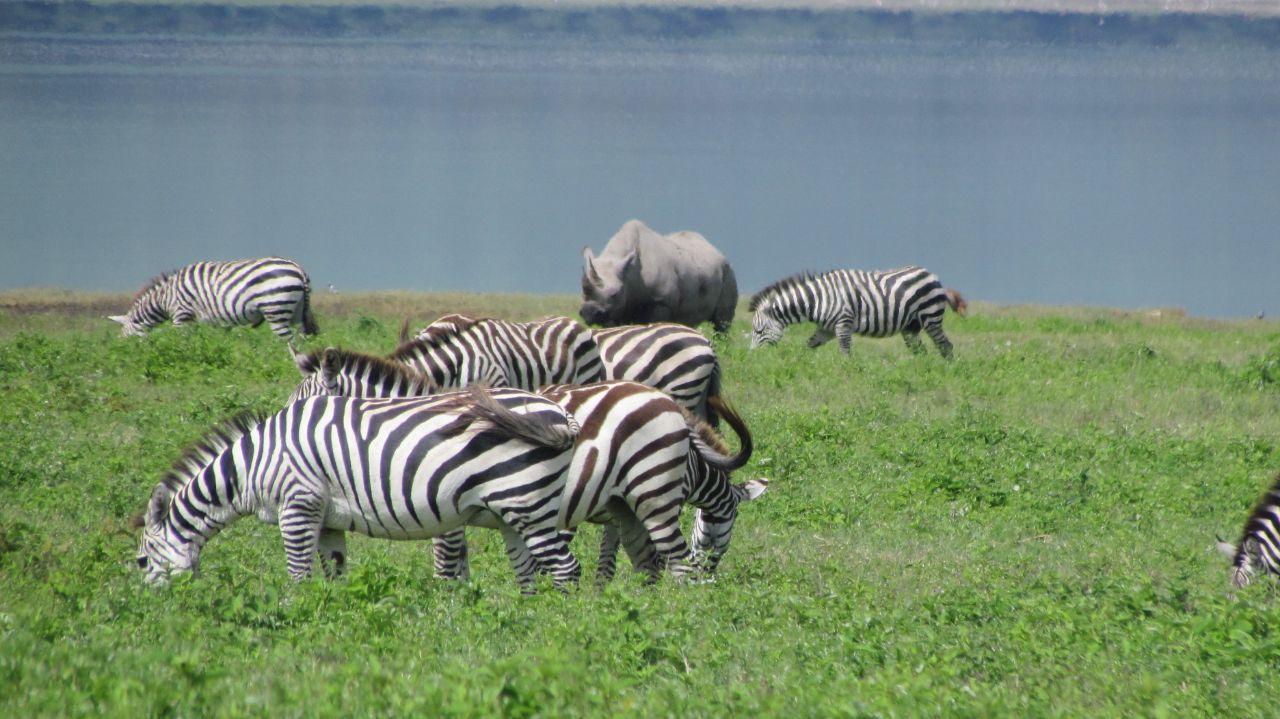 lake-manyara-national-park (1)