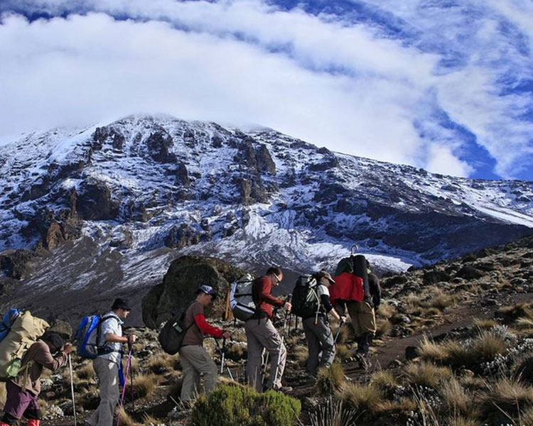 Northern-Circuit-Mount-Kilimanjaro-1