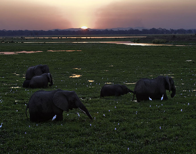 Rukomechi-Camp-WildernessSafaris201